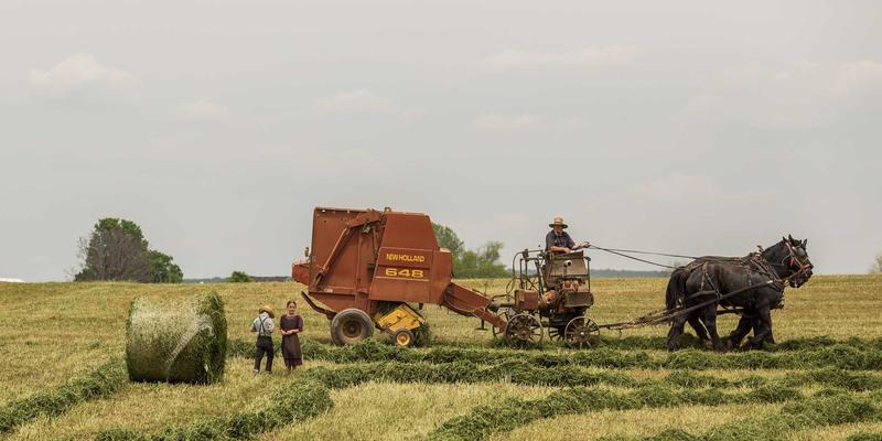 从杯酒释兵权到将相失衡:唐代权力结构的演变与王朝兴衰启示