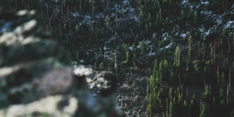 从杯酒释忠义到现代家国情怀：黄酒如何成为商务宴饮中的文化纽带