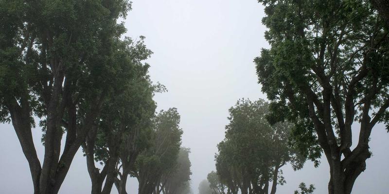 将相失和，酒宴难融：从历史纷争看现代商务用酒中的智慧