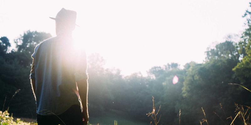 杯酒释权谋:《史记》中的将相智慧与中国酒文化的千年共鸣